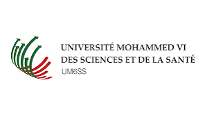 Université Mohammed VI